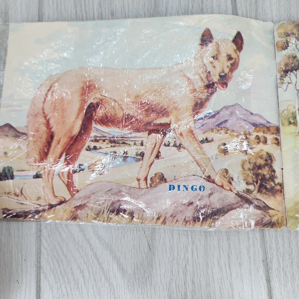 Vintage 1953 Australian Animals Children’s Book Photograpatures Illustrated - Picture 4 of 16